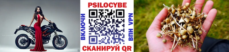 Псилоцибиновые грибы GOLDEN TEACHER  Сортавала 
